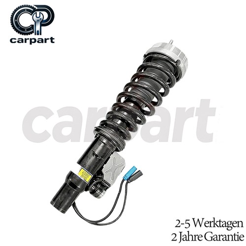 Vorne links - 1x,